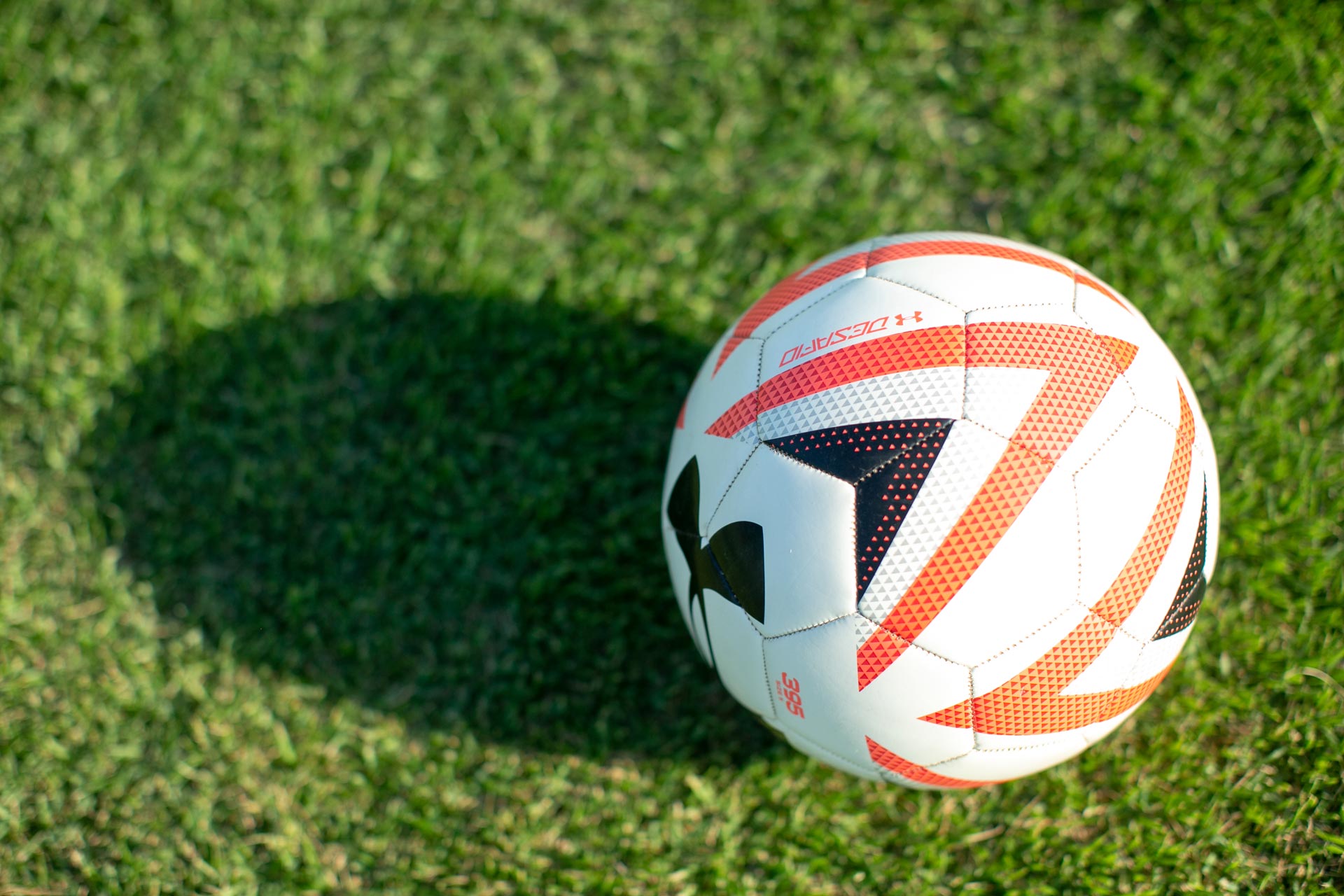 Blitzball Field in Columbia, MO | Midway Golf & Games